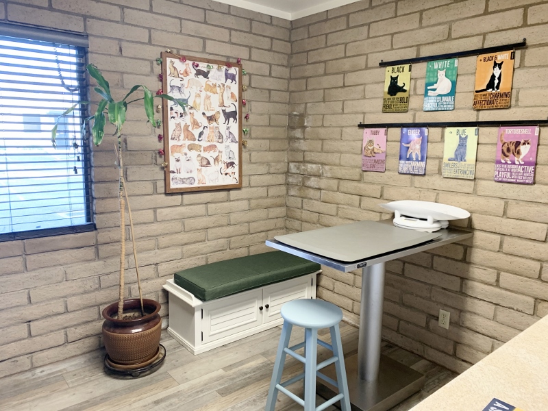 Exam Room